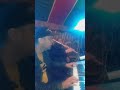 صواري علالمة معسكر شيخ بقدور ولد ملال برد الحال 