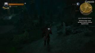 The Witcher 3 Wild Hunt  Пропавшие горняки