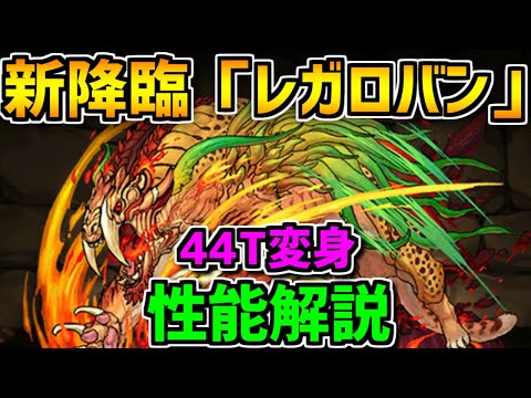 新降臨レガロバン登場！キャラも武器も強い！性能解説！【パズドラ】