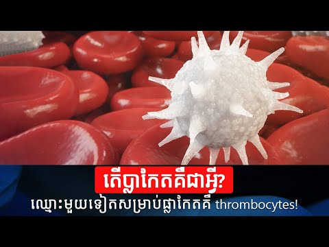 តើប្លាកែតគឺជាអ្វី? | Platelets Or Thrombocytes | Health Problem | Health Care | Health Education