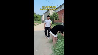 7388789714368695563.mp4