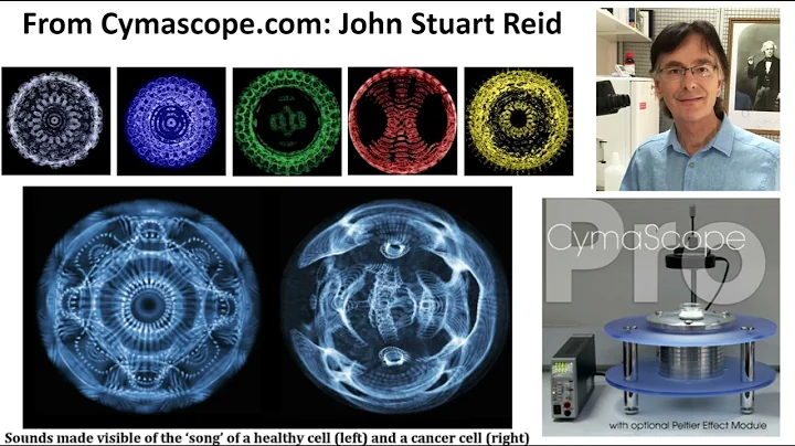 Dr Robert J. Gilbert on Energy Healing & Psychedel...