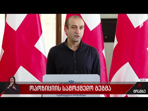 ოპოზიციის სამოქმედო გეგმა