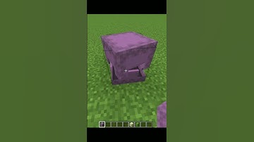 What If You Throw Filled Shulker Box On Cactus #Shorts