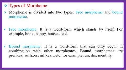 Morphology - Lesson 1 - An Introduction