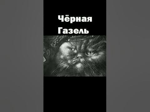 Чёрная Газель #1 #страх#страшилки2024#газель#покупкамашины#курнуть ...