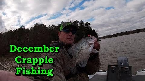 How to catch crappie in December Tips,Locations and lures/Vertical jigging for crappie in December