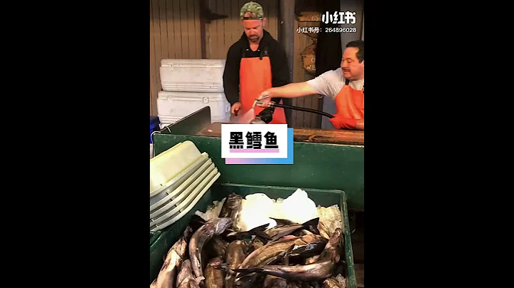 Newport Beach Dory Fleet Fish Market