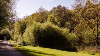 Bradford-on-Avon landscapes, night scenes, spring flowers