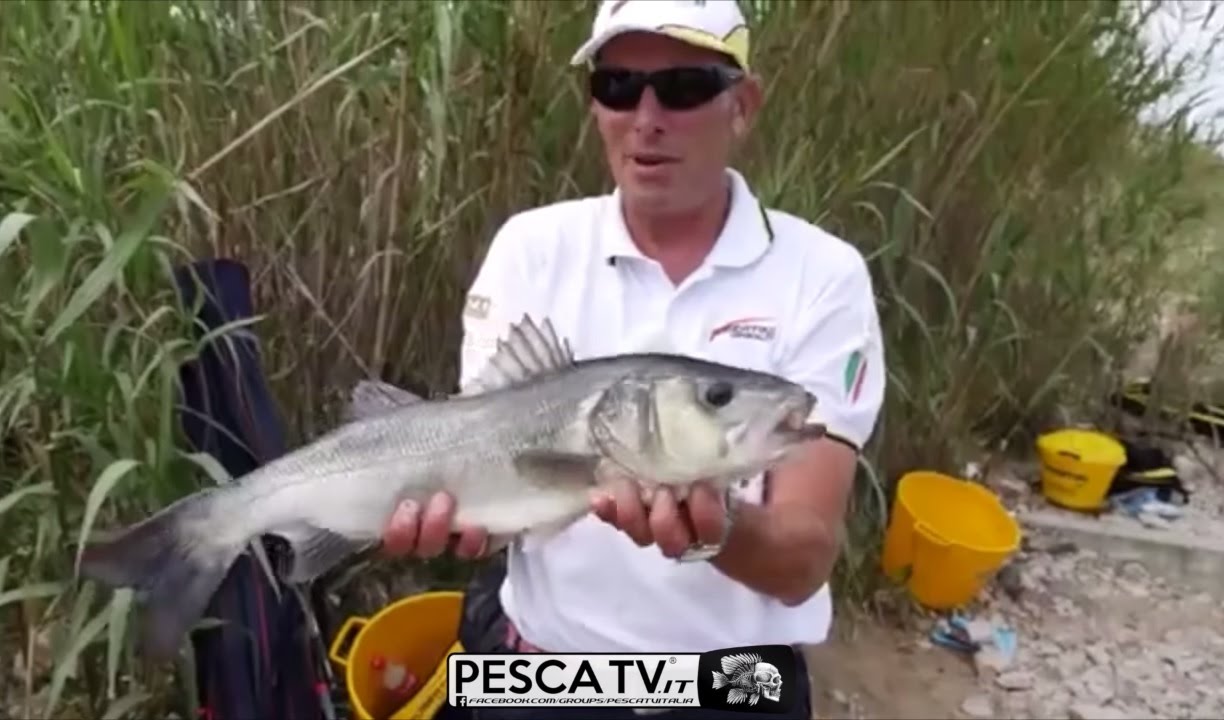 Cestino per pesce galleggiante, cestino da pesca per pesce pescato | Rete portaoggetti per pesci ed esche,Cestino da pesca pieghevole Rete da pesca galleggiante ad asciugatura rapida per mantenere viv