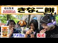 【海外の反応】《ふんわり名人・きなこ餅！！》 American People Try  Japanese Snacks vol.25