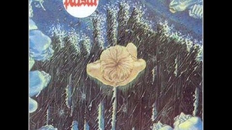 PULSAR - The Strands of the Future (3/3)