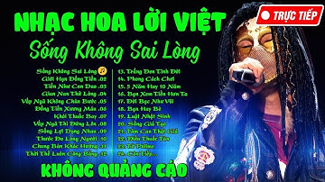Nhạc Chế Đời Và Tiền | Sống Không Sai Lòng | Nhạc Chế Đời Vũ Hải | Huyền Thoại Nhạc Chế