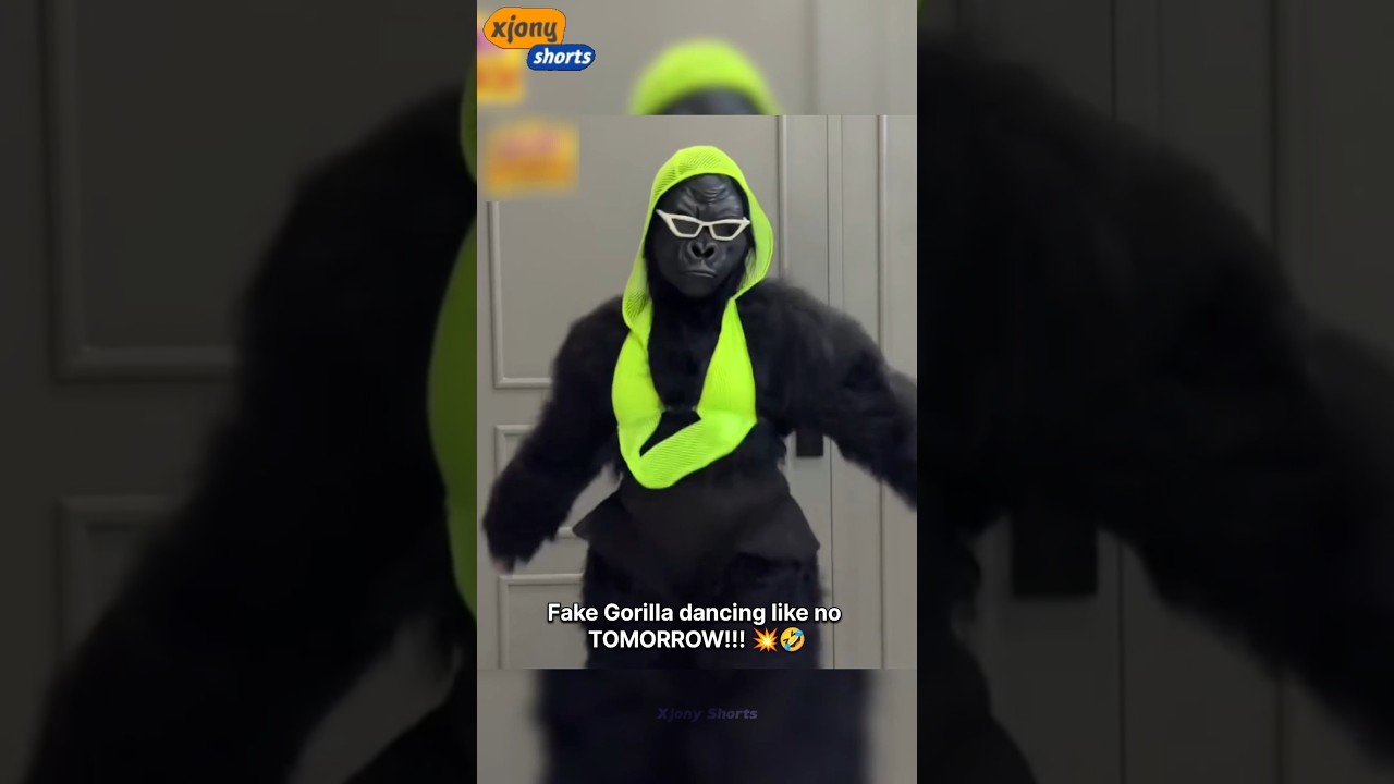 Laugh Time! ?? #shorts #viral #funny #fails