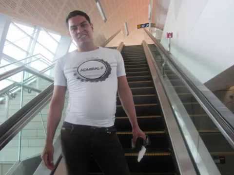 الطير المهاجر رامى