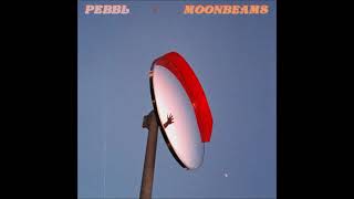 Pebbl: &quot;Sound of violence&quot;