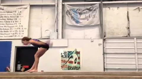 Sami Strickler 2014- One Arm Handspring Layout