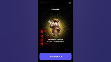 DAILY CIPHER CODE AUGUST 27 #hamsterkombat #shorts #viralvideo #trendingshorts #airport #dog