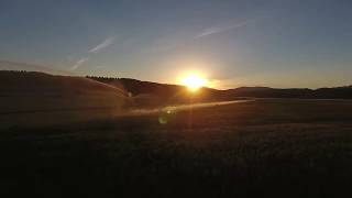 Mini-Clip Series: Sunrise or Sunset