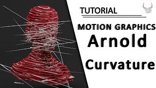 Motion Graphic | Arnold Curvature Map | Cinema 4D Tutorial