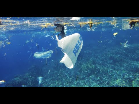 Video: Světový oceán: problémy. Problém využívání oceánů