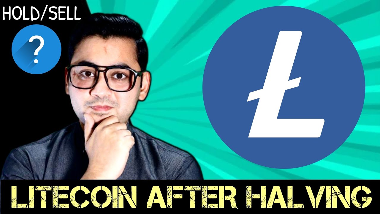 Litecoin After Halving - Should you Buy LTC Crypto after halving 2023 - The  FUTURE OF MONEY - Hindi