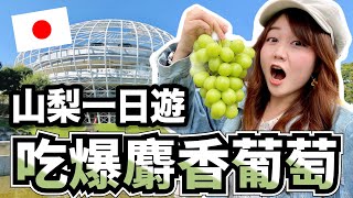 【2022日本旅遊vlog】山梨一日遊，整天都吃麝香葡萄好幸福❤️｜採麝香體驗｜笛吹川水果公園｜戀人聖地｜懷石料裡｜水果溫泉｜新日本三大夜景｜日本有個U1 YuiTube 🇹🇼x🇯🇵