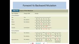 Forward and Reverse mutations