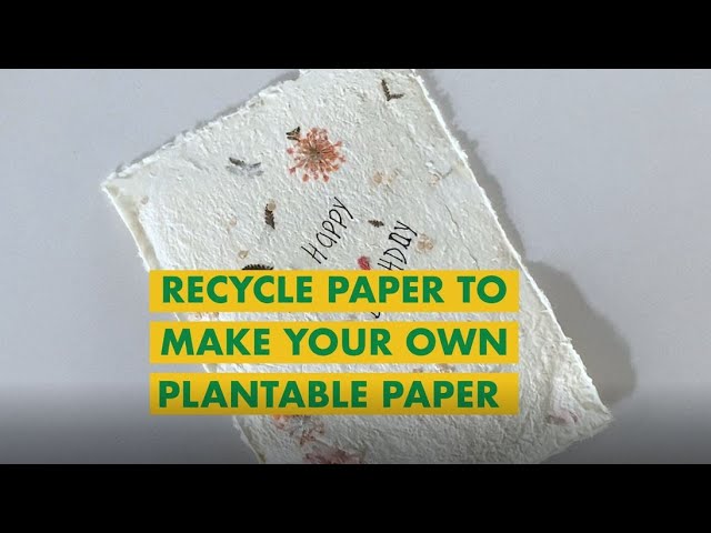 HOW TO MAKE PLANTABLE SEED PAPER - Easy DIY Project using Recycled Paper 