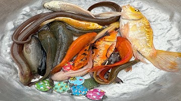 Kem Chanel lái xe công nông bắt cá ở ống nước chảy: cá chép koi, cá rô, cá bống, cá bêta, con rùa.