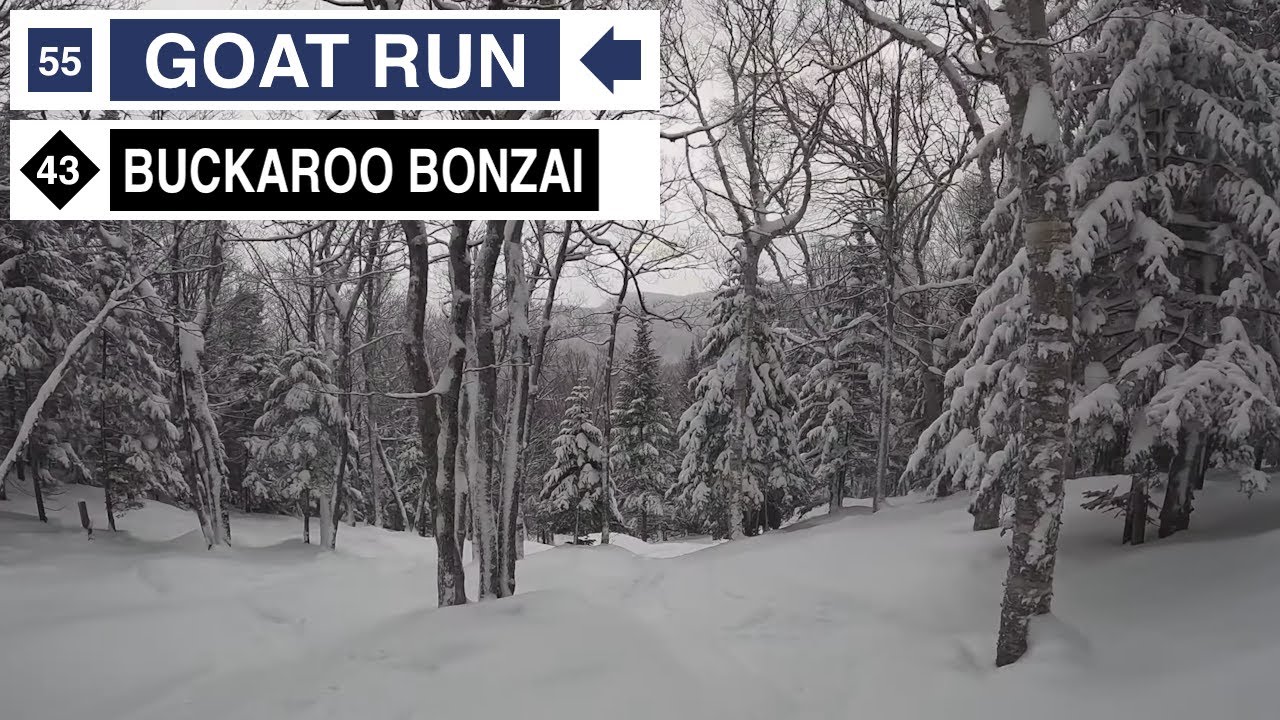 Jay Peak, VT - 🟦 Goat Run to Buckaroo Bonzai 🌲 to 🟢 Kangaroo Trail (12 ...