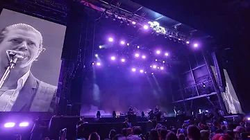 Interpol - PDA (Corona Capital, Guadalajara México) May/21/2023