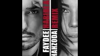 Faydee & Shahzoda - Habibi Albi (Remix)