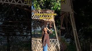 ये दिल ❤️#ytshorts #love #youtube #oldisgoldsongs #oldsong #latamangeshkar #mohammadrafi #2026myyear