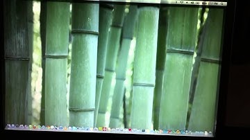 Mac OS 10.6.6 on Dell inspiron 1525