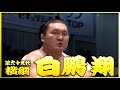 【激闘編】69代横綱 白鵬翔