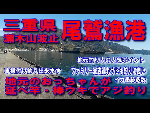 #126三重県尾鷲漁港瀬木山投げサビキ釣りサビキかごにアミエビ入れてただただ海に向かって投げる高級魚大物が釣れる人気河口ポイント車横付け釣り出来ます波止が低いので安全ファミリー家族連れサビキ釣りに良い