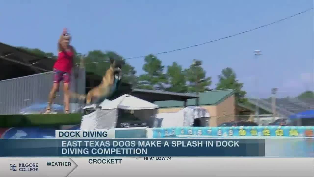 National dog diving competition makes a splash in Longview YouTube