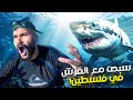 تحدي السباحة مع أسماك القرش في فلسطين