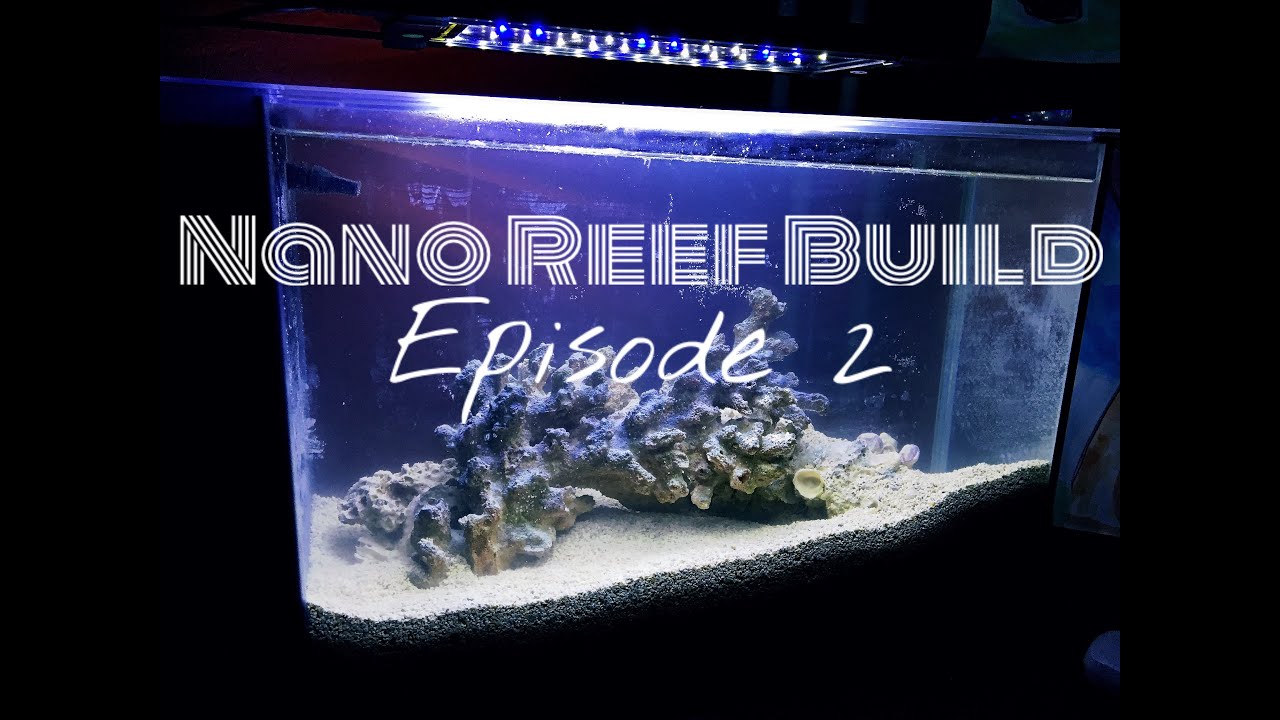 nano reef build fishless