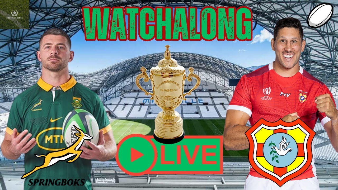 Live Rugby World Cup South Africa vs Tonga Watchalong YouTube