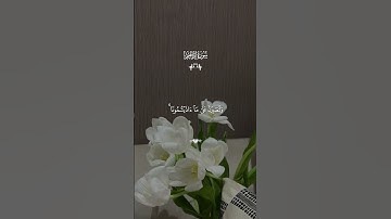 قران الكريم - سورة ابراهيم || القارئ - فارس عباد || وما لنا الا نتوكل على الله وقد هدئنا سبلنا❤️…
