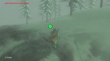 [DAY 487] of finding one korok seed everyday until Botw2 comes out