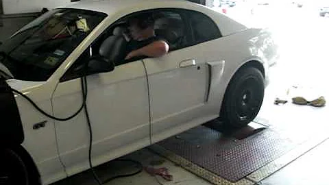 TrickFlow Twisted Wedge Heads Dyno