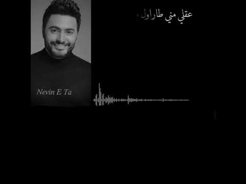 تامر حسني اغنية قولني كلام اول مرة قوله مع الكلمات ستوريات واتس اب