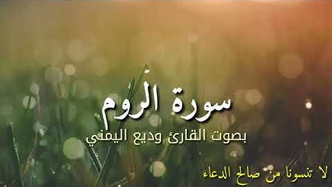 سورة الروم بصوت القارئ وديع اليمني