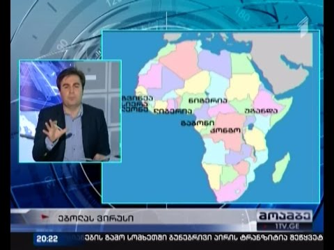 საქართველოში შემოსულ 14 ადამიანს ებოლას ვირუსზე აკვირდებიან