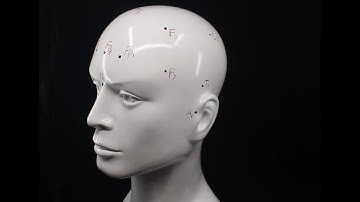 NeuroMyst Pro | Common (10-20) EEG Electrode Placements.