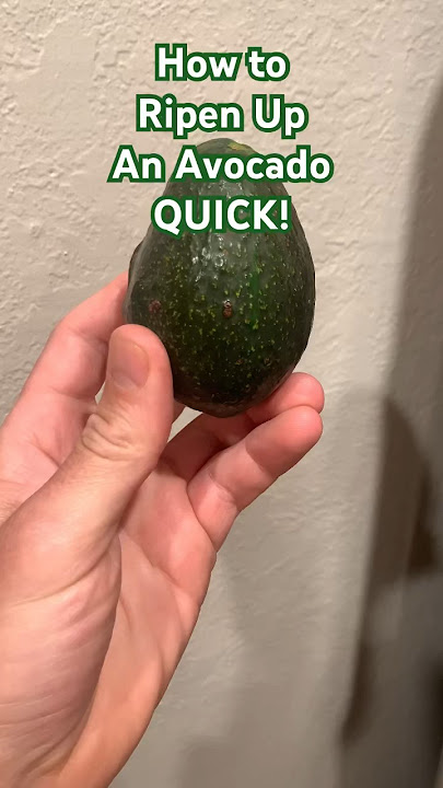 How to RIPEN Up a Hard Avocado QUICKLY!