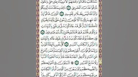 سورة آل عمران ص74/المنشاوي